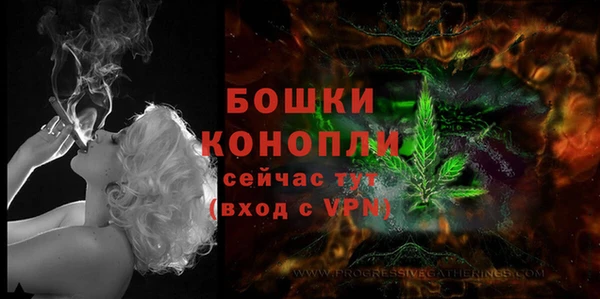 крисы Куйбышев