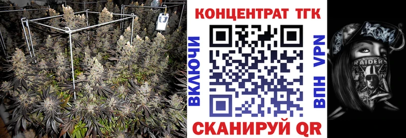 мориарти наркотические препараты  хочу наркоту  Владикавказ  Дистиллят ТГК Wax 