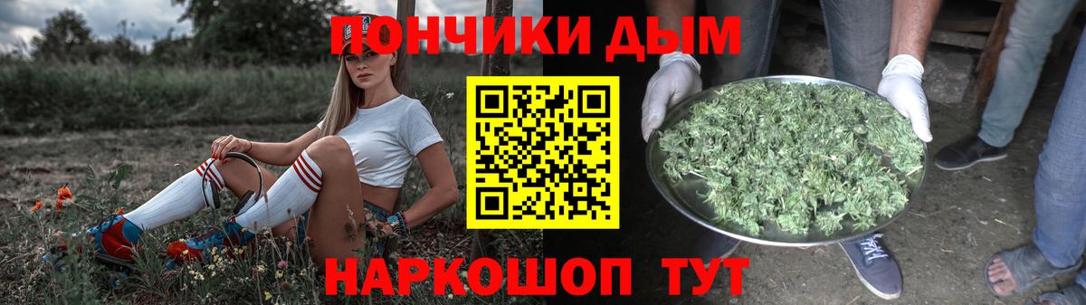 Конопля сатива Владикавказ